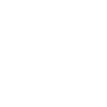 پارس بریج لگال